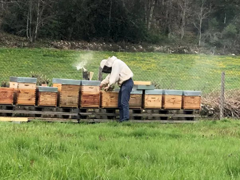 L’installation de ruche